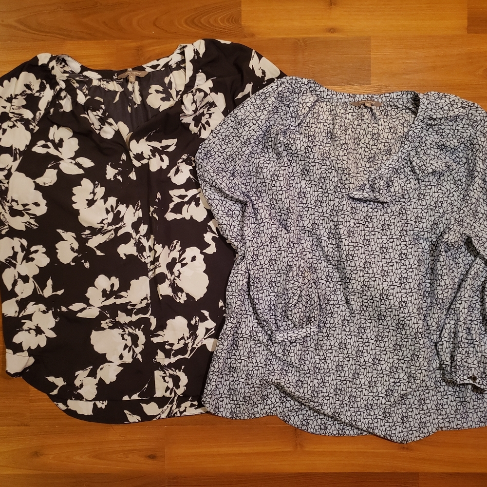 Daisy Fuentes Dress Blouse